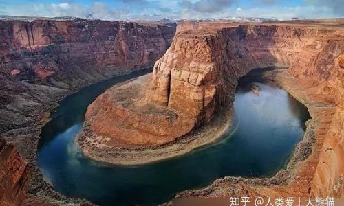中天麻图片大全网 - 网站提供天麻图片大全大图小常识、天麻图片大全高清图片与功效