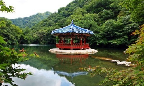 天麻种子图片及功效-中天麻图片大全网 - 网站提供天麻图片大全大图小常识、天麻图片大全高清图片与功效